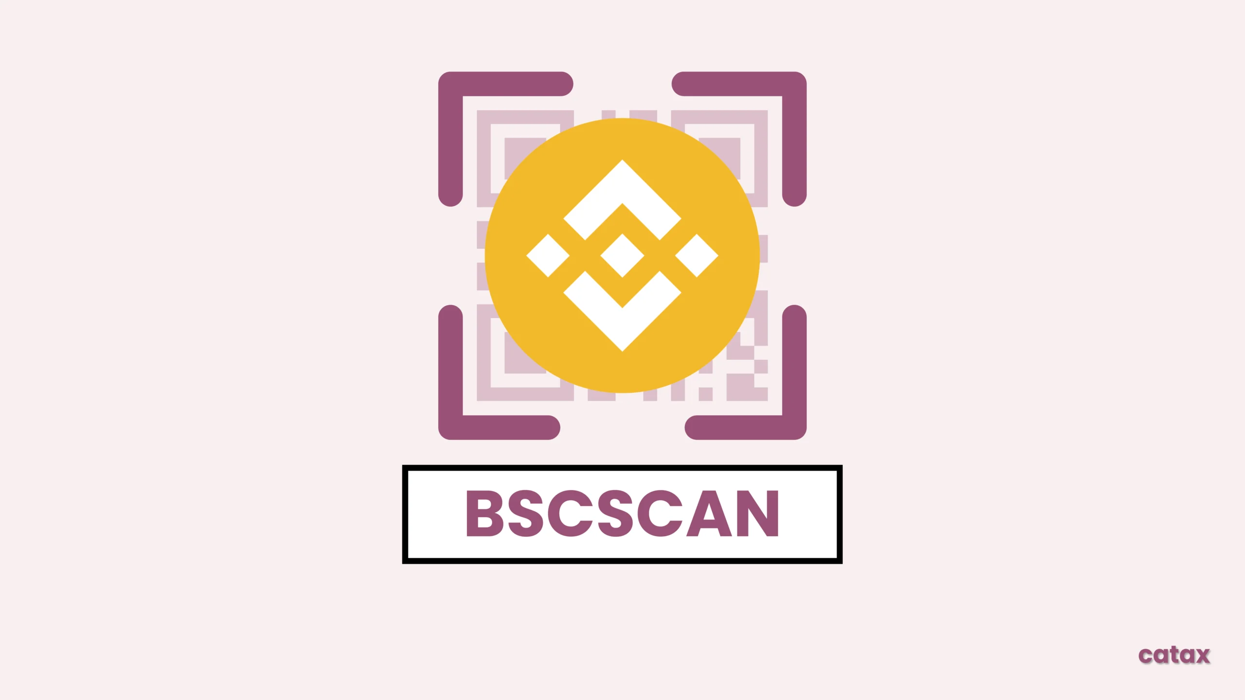 How to Use Bscscan: A Beginner’s Guide